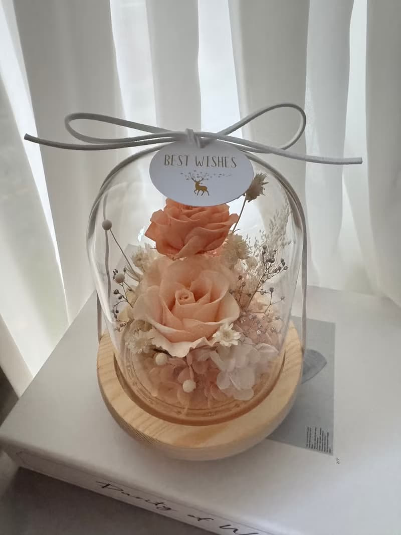 永生花玻璃花盅 夜燈  橘色系