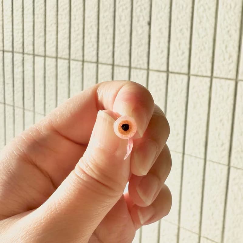 怪奇系列 | 手繪眼球 手作耳環 耳夾 單支 迷你尺寸 六色