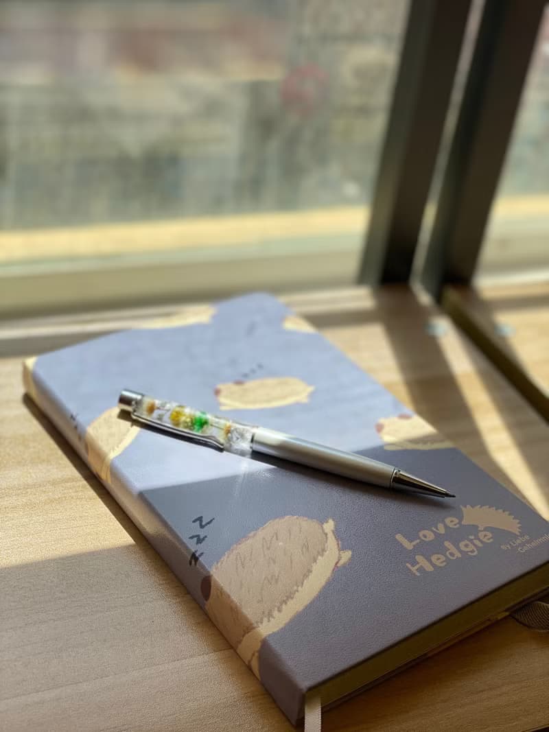 刺蝟伴讀筆記本 3款入 NOTEBOOK 附內袋 方格筆記本 附袋手帳