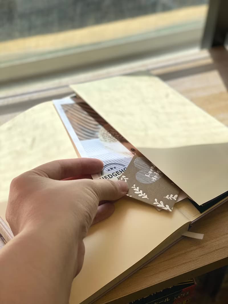 刺蝟伴讀筆記本 3款入 NOTEBOOK 附內袋 方格筆記本 附袋手帳