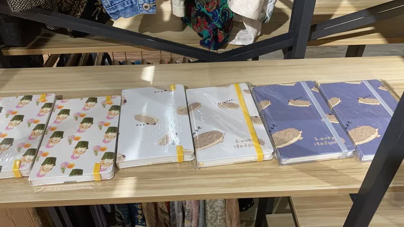 刺蝟伴讀筆記本 3款入 NOTEBOOK 附內袋 方格筆記本 附袋手帳