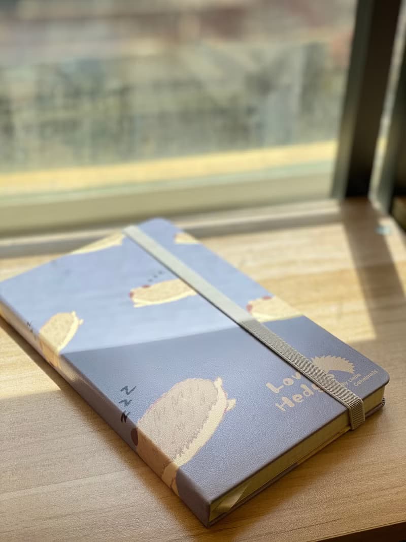 刺蝟伴讀筆記本 3款入 NOTEBOOK 附內袋 方格筆記本 附袋手帳