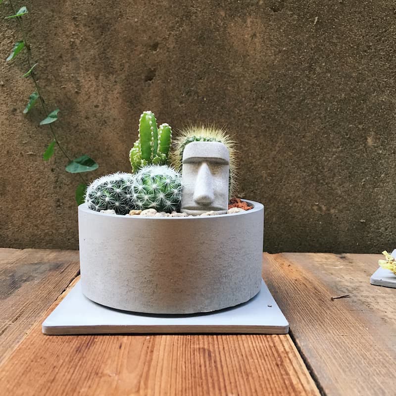 |摩艾綠意花園| 迷你仙人掌造景DIY【不含植物與土壤】