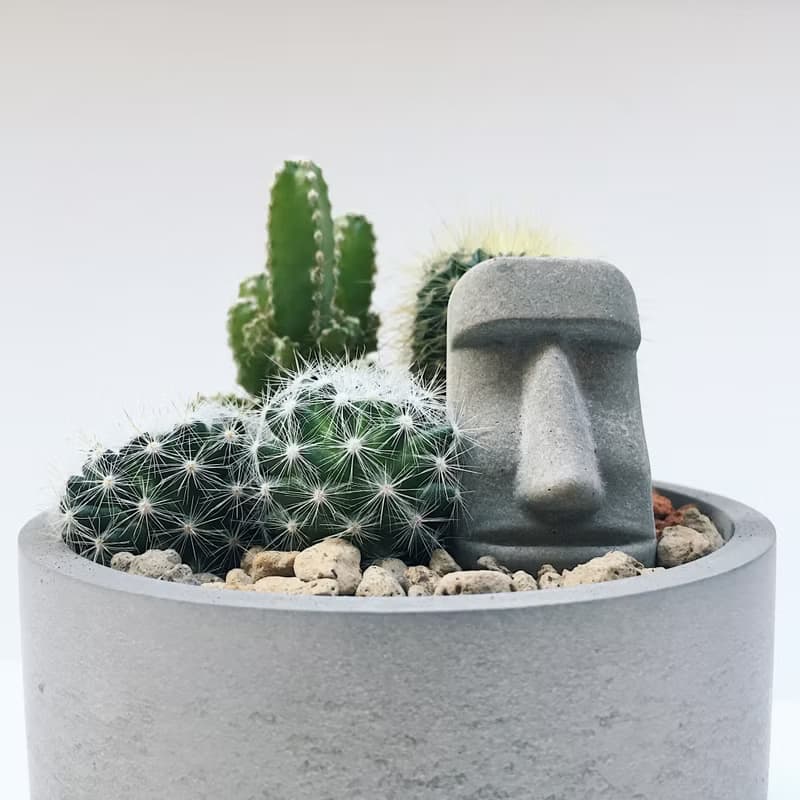 |摩艾綠意花園| 迷你仙人掌造景DIY【不含植物與土壤】