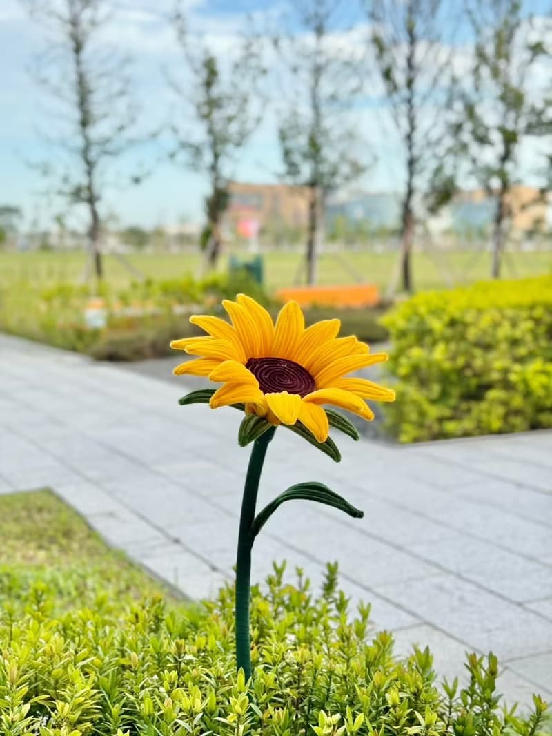 畢業向日葵巨大毛根花束