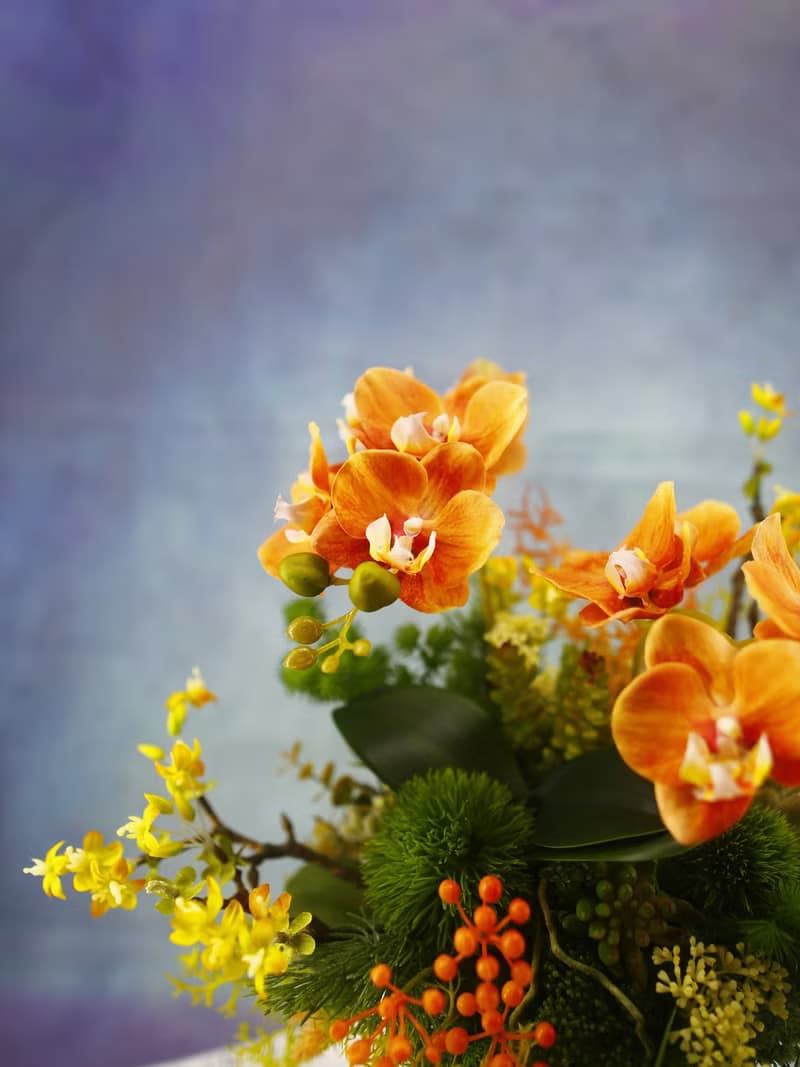 橘蝴蝶蘭鍛鐵架香氛花禮 免運專人配送限雙北市 其餘地區需補運費