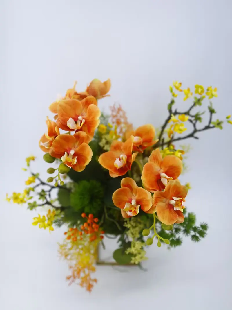 橘蝴蝶蘭鍛鐵架香氛花禮 免運專人配送限雙北市 其餘地區需補運費
