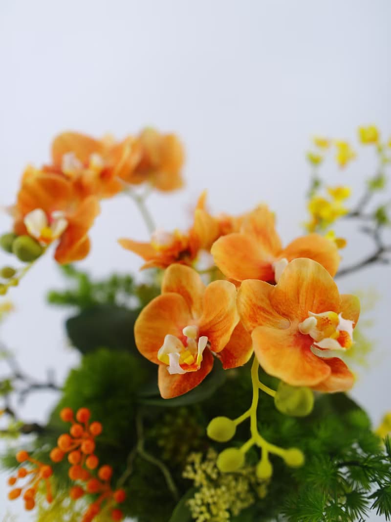橘蝴蝶蘭鍛鐵架香氛花禮 免運專人配送限雙北市 其餘地區需補運費