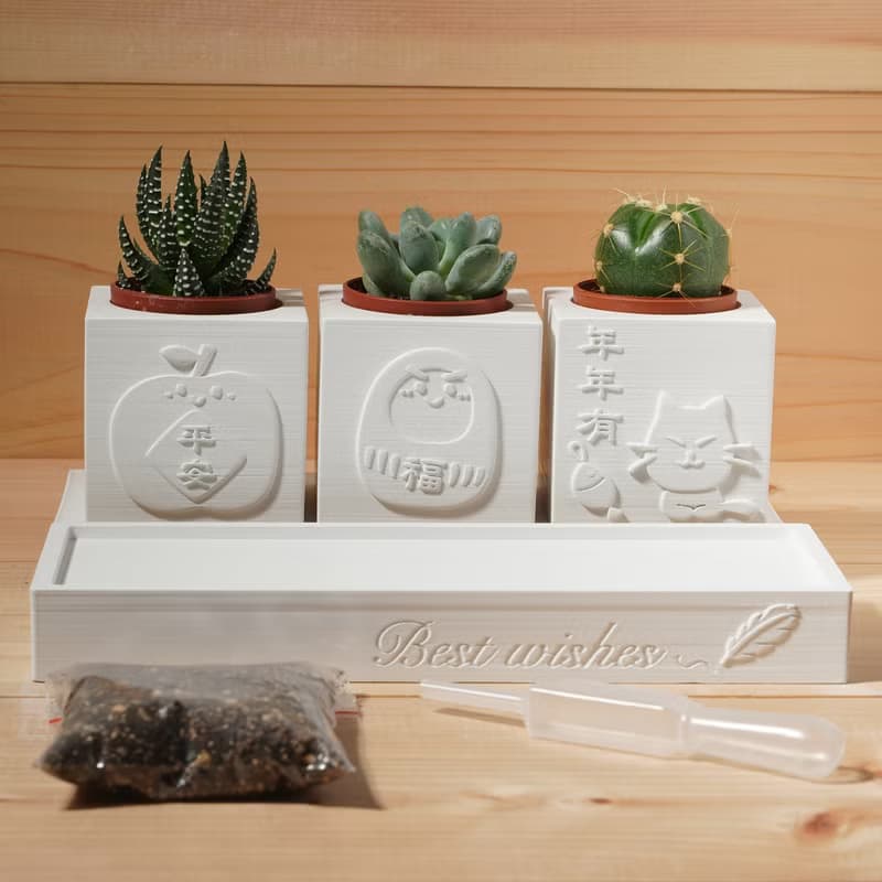【生日禮物】Best Wishes | 平安是福有餘 | 多肉水泥盆栽4件組