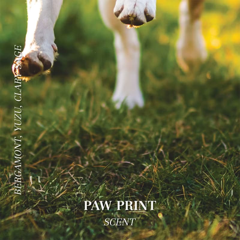 Pet odor candles soy wax phthalate-free - Paw print scent 200g | Sniff