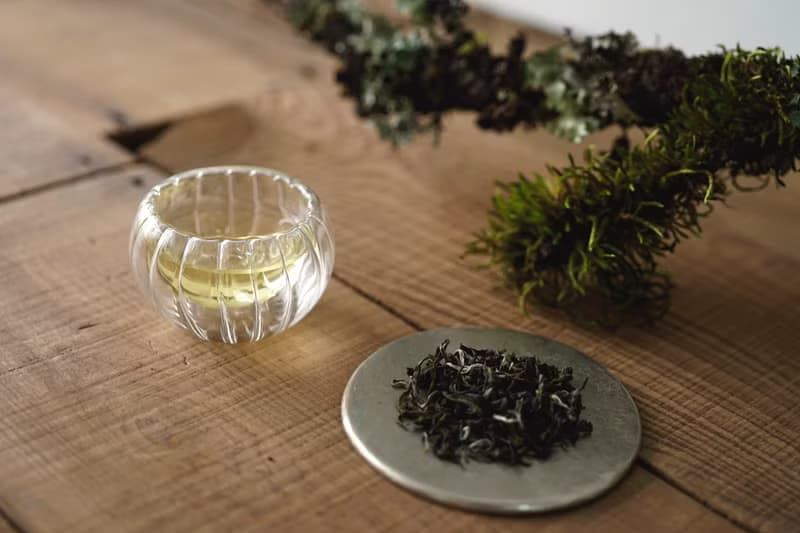 【琅茶】豆香碧綠 / 苗青罐 / 清嫩爽口