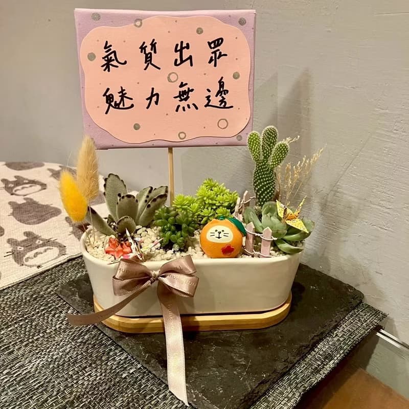 大吉大利 橘子貓 台中 多肉組盆 多肉植物 日本decole 開幕慶祝