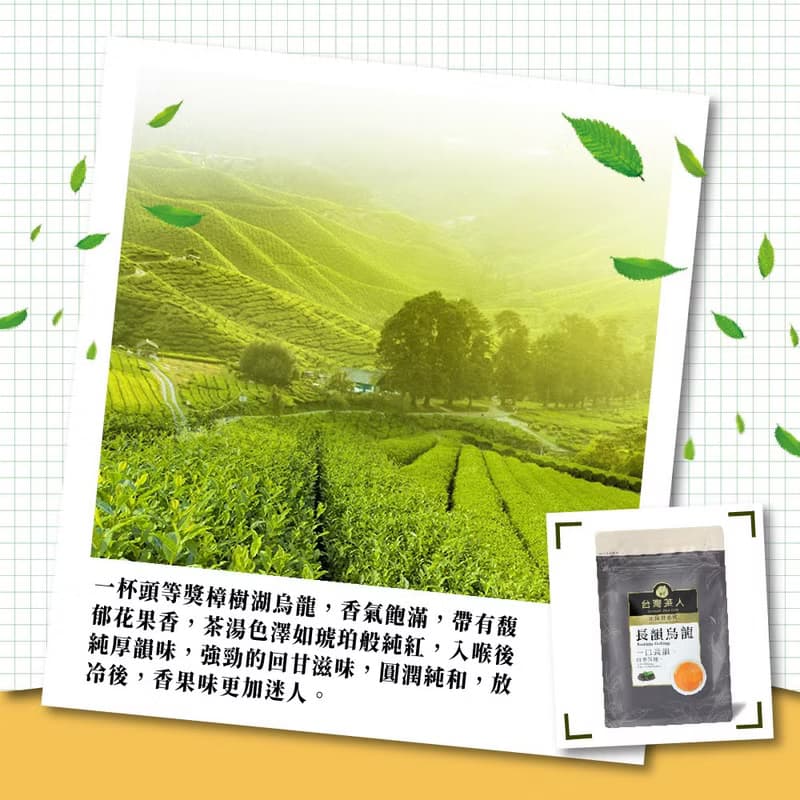 【台灣茶人】辦公室正能量系列 |長韻烏龍(25入/袋)