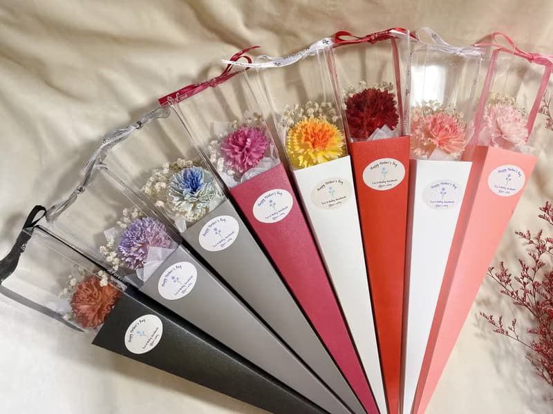 單枝康乃馨/康乃馨花束/康乃馨花盒/乾燥康乃馨/母親節花禮