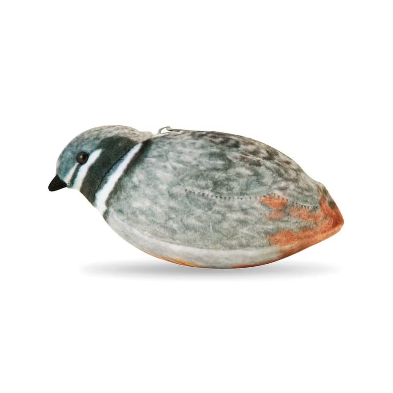 【YOU+MORE!】迷你鵪鶉造型收納零錢包