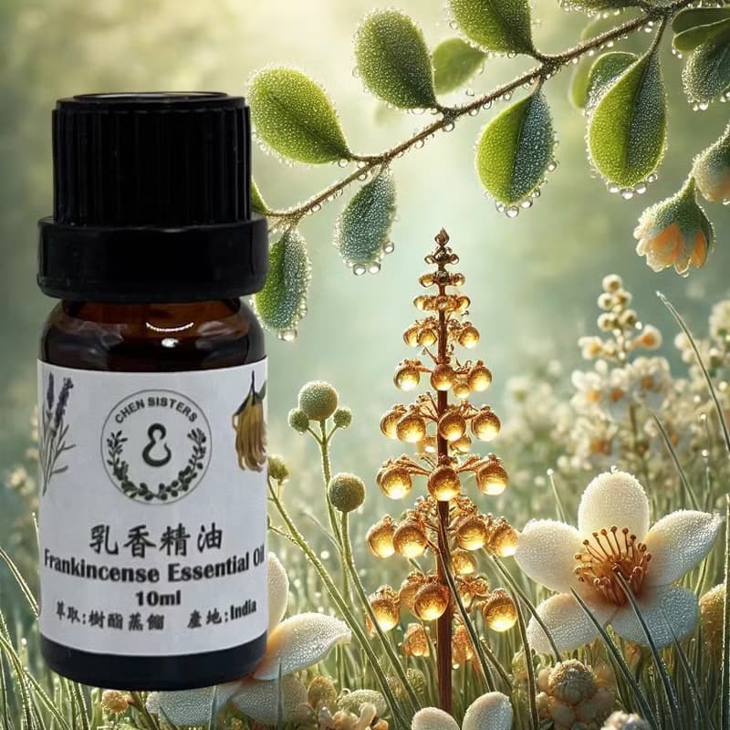 冥想系精油 印度乳香精油 100%純天然 10ml/50ml 送精美擴香石