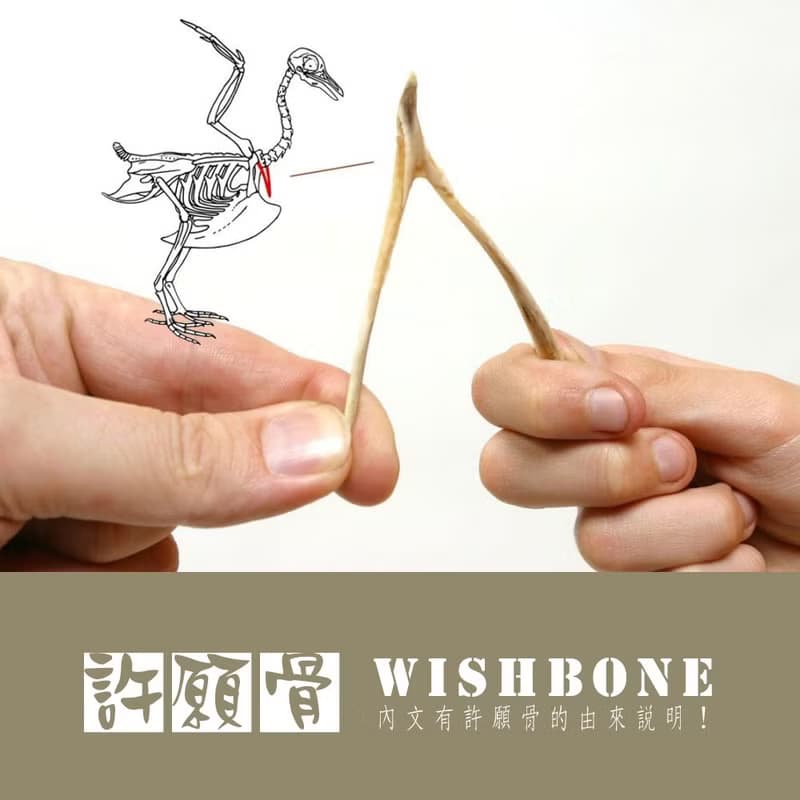 手工繞線鍛敲 14Kgf 包金許願骨 Wishbone 裸感項鍊 鎖骨鍊