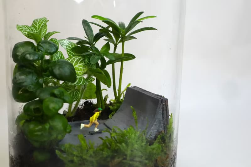 【微景觀】滑麗登場 - 滑板/微景觀/室內盆栽/生日禮物
