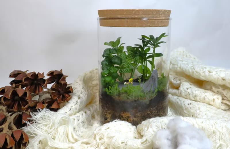 【微景觀】滑麗登場 - 滑板/微景觀/室內盆栽/生日禮物