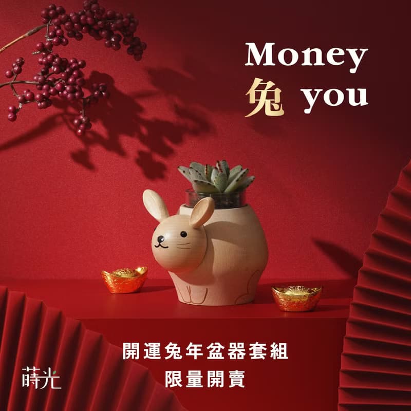 【兔子】樸實原木 盆器 多肉盆栽罐 不含植物 | 1251048 蒔光