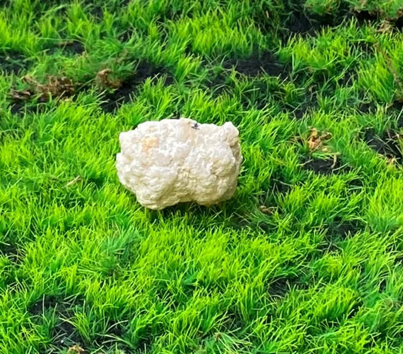 能量招財瑪瑙小白晶洞 療癒 開運 淨化 原礦 聖誕禮物 交換禮物