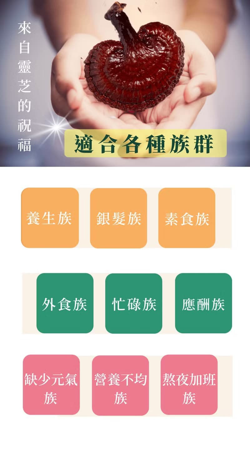 【靈芝草人】平安吉祥添福增壽靈芝麵線禮盒拜拜組