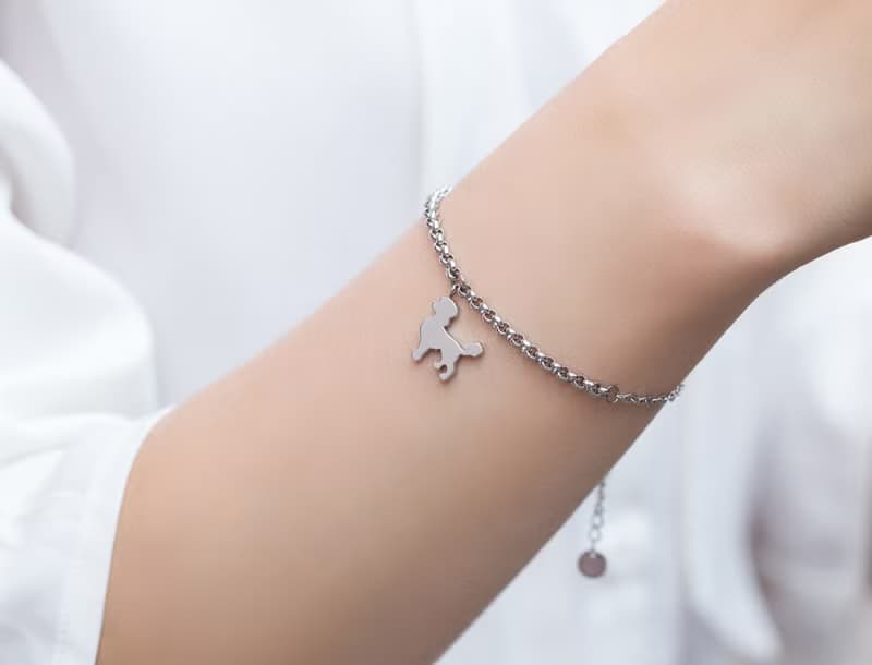 抗敏醫療鋼 狗狗手鍊系列-貴賓狗