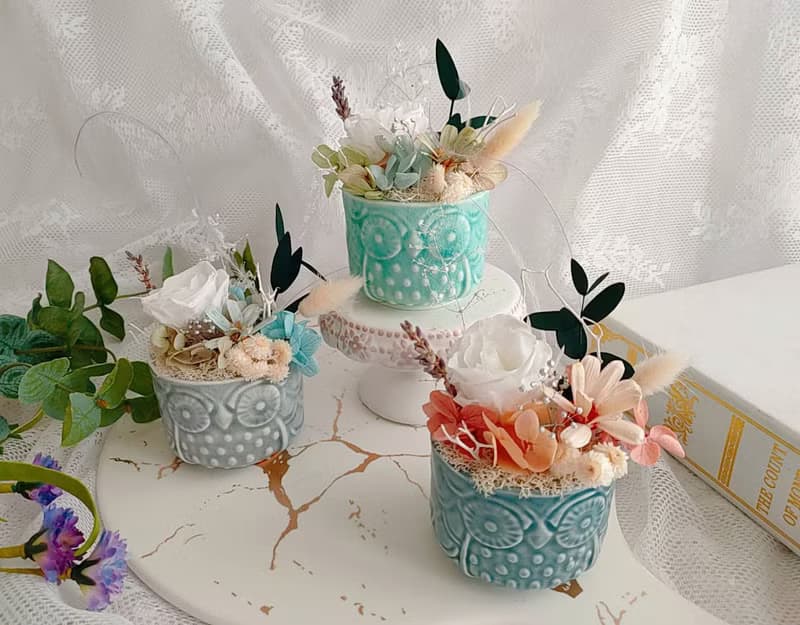 【藍芯手作】童趣貓頭鷹・乾燥花盆花 畢業花束 生日禮物 開幕禮