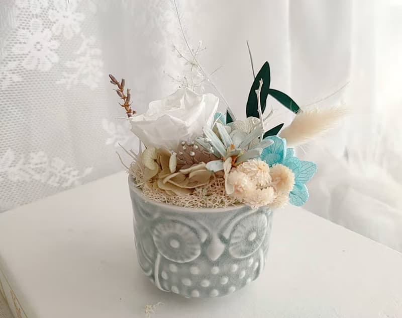 【藍芯手作】童趣貓頭鷹・乾燥花盆花 畢業花束 生日禮物 開幕禮