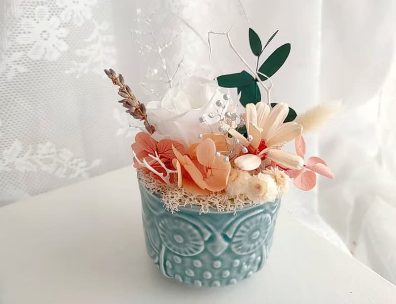 【藍芯手作】童趣貓頭鷹・乾燥花盆花 畢業花束 生日禮物 開幕禮