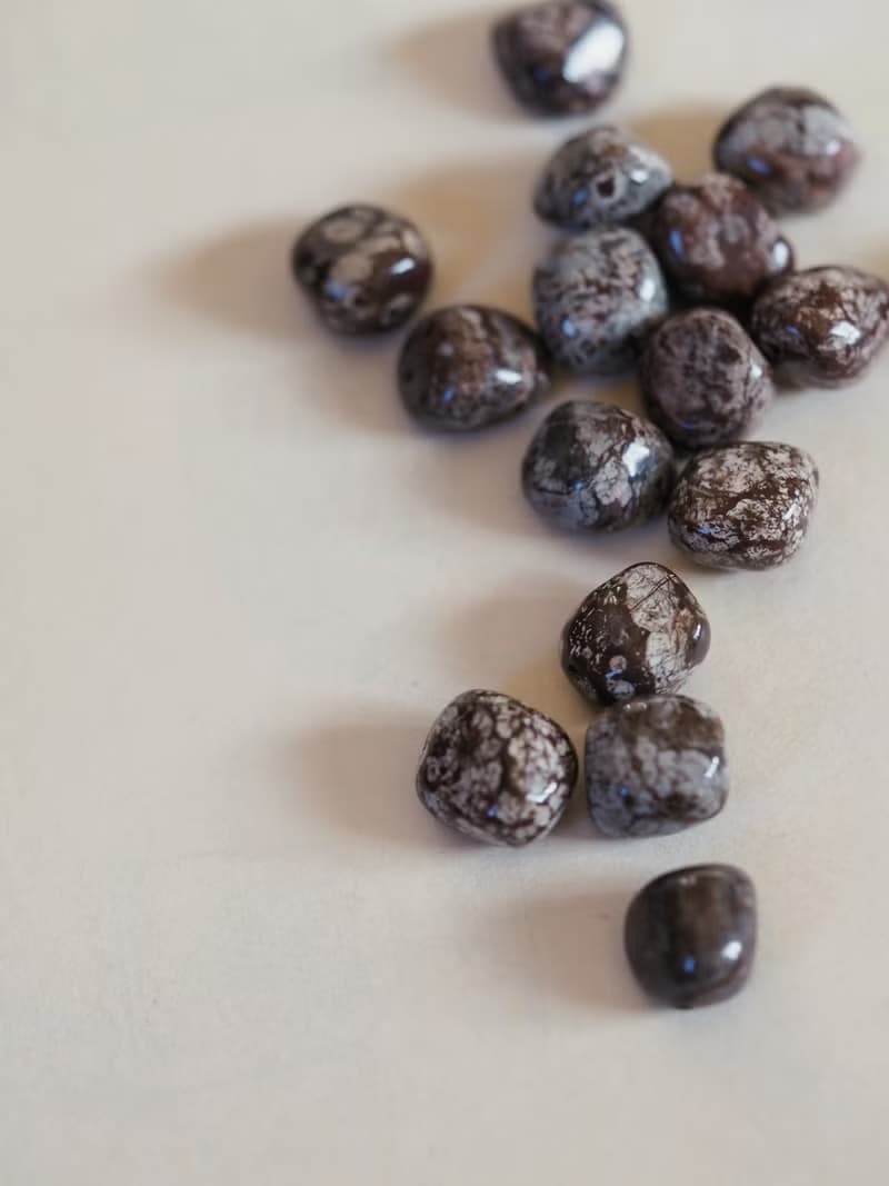 咖啡雪花 古董長鍊耳環 / 可改夾式耳環