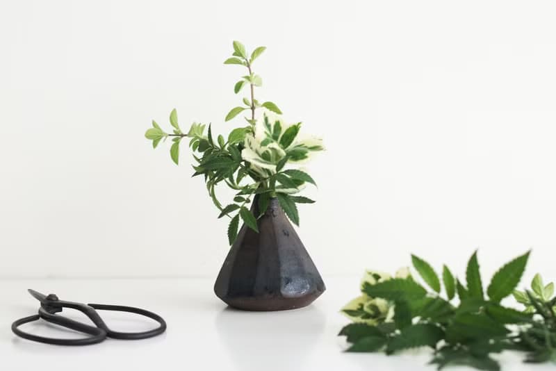 檸檬馬鞭草-香草禮物款