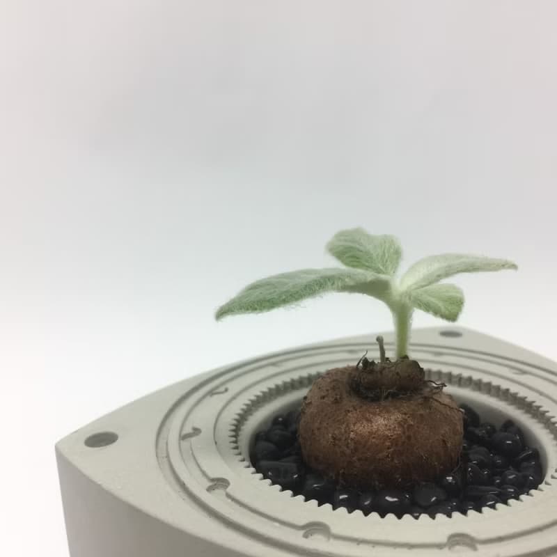 轉子引擎造型水泥盆