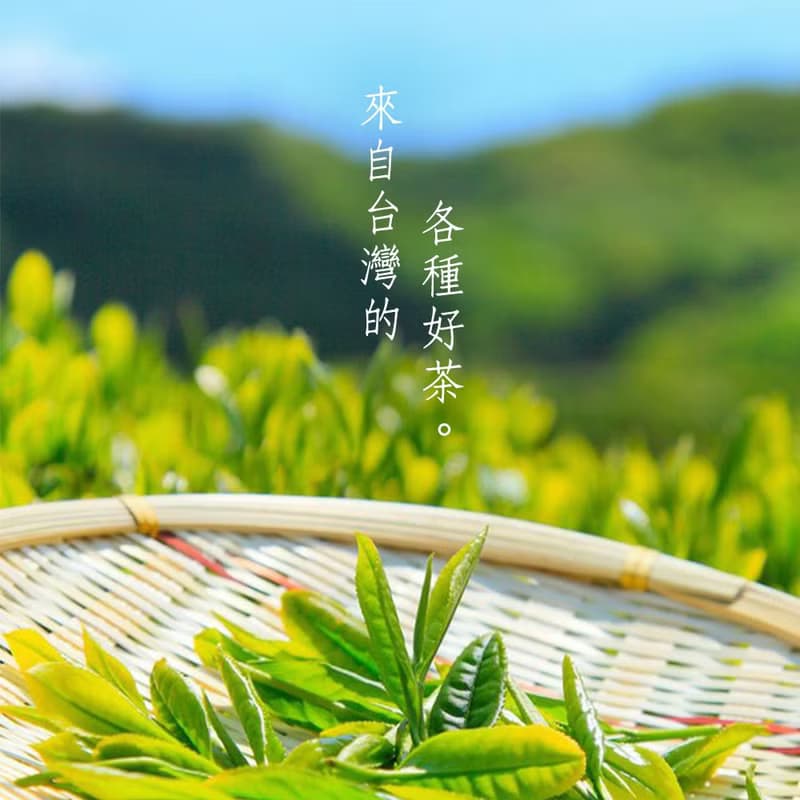【台灣茶禮盒2入】木製禮盒 茶包禮盒 茶包 茶葉禮盒 茶葉 台灣茶