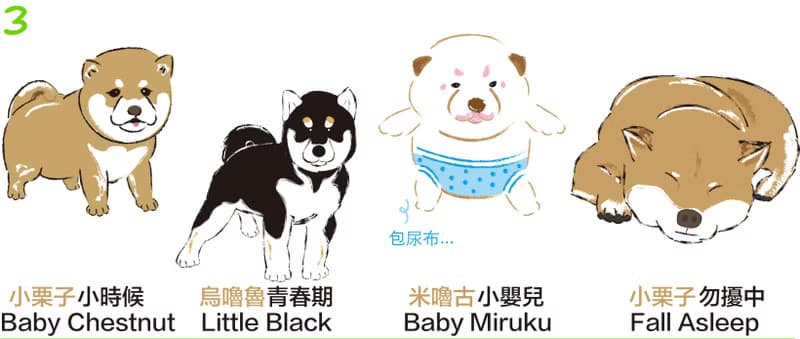 小飯糰  柴柴大型防水貼紙 No.3 柴犬 行李箱貼紙