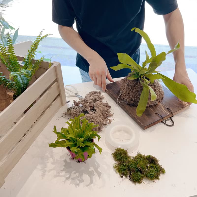 【體驗】| 桃園青埔 | 企業教學 聯名合作 綠沐-手作上板綠植物
