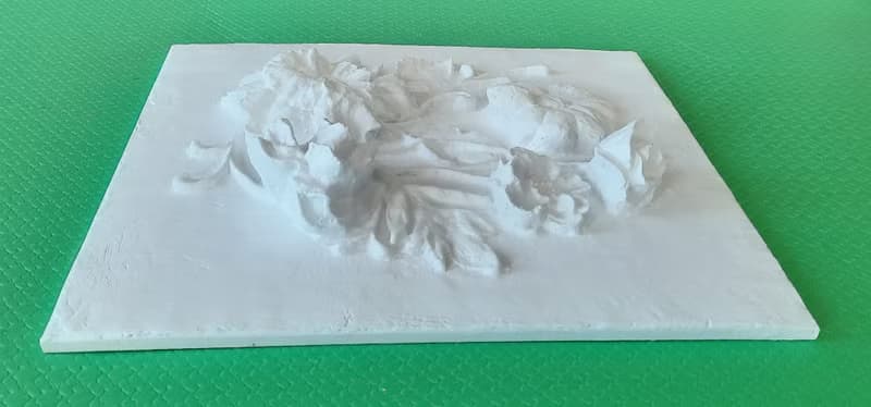 牆壁雕塑藝術 3d 花卉牆壁藝術 白色淺浮雕 植物裝飾