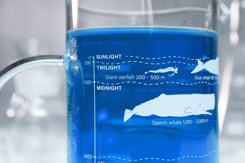 海底生物分佈圖玻璃把手高燒杯