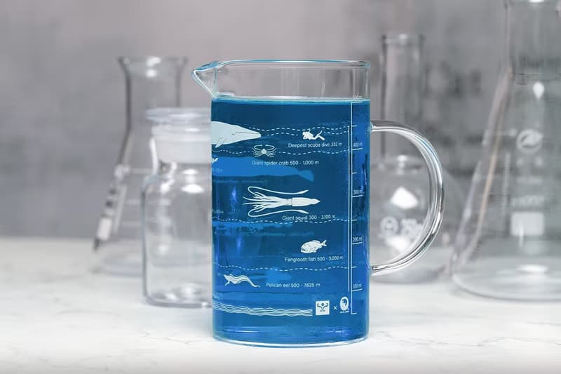 海底生物分佈圖玻璃把手高燒杯