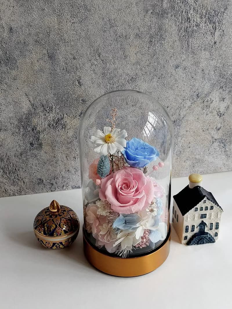 粉黛藍 永生花玻璃罩.花盅 祝賀花禮 生日.七夕情人節.母親節