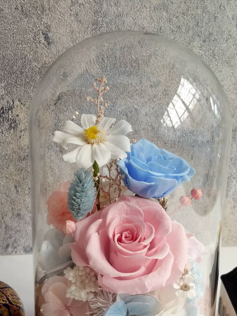 粉黛藍 永生花玻璃罩.花盅 祝賀花禮 生日.七夕情人節.母親節