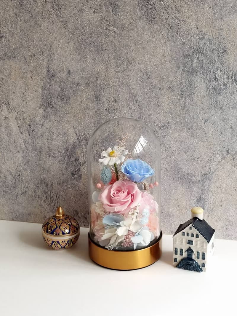 粉黛藍 永生花玻璃罩.花盅 祝賀花禮 生日.七夕情人節.母親節