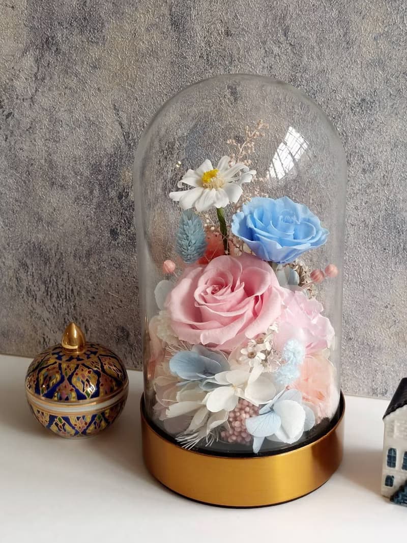 粉黛藍 永生花玻璃罩.花盅 祝賀花禮 生日.七夕情人節.母親節
