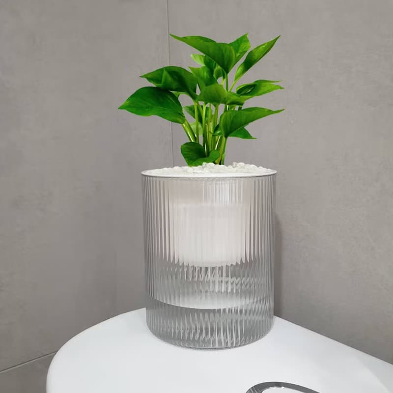 植栽 室內盆栽 黃金葛 懶人盆栽