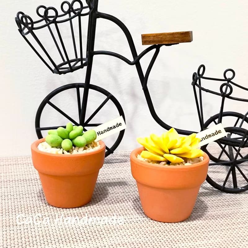 【體驗】【體驗】花蓮手作體驗石膏捏塑可愛多肉迷你盆栽DIY-小班製