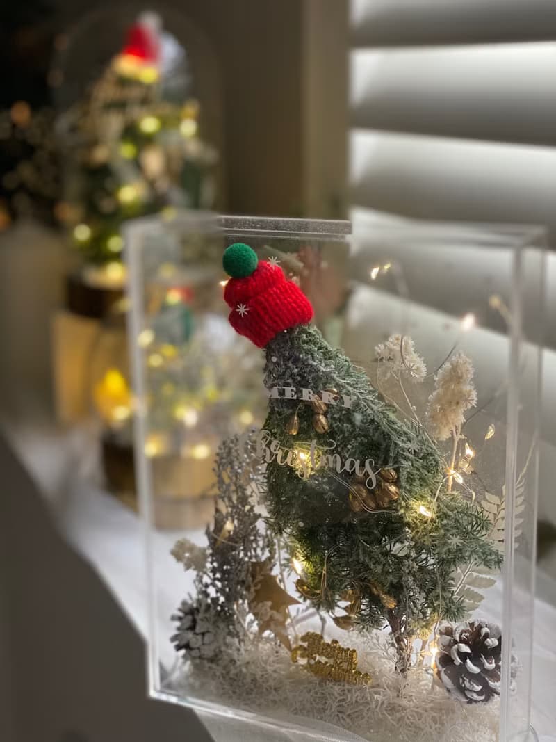 快速出貨 聖誕禮盒 聖誕禮物 交換禮物 雪松 漫花銀雪晶透花盒