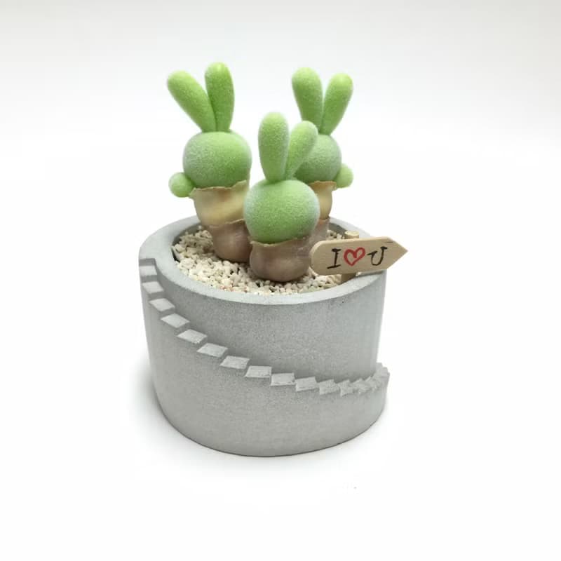 仿生黏土多肉植物 碧光環