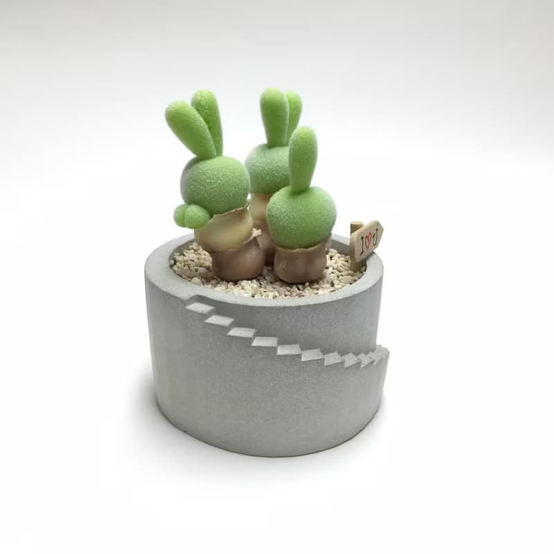 仿生黏土多肉植物 碧光環