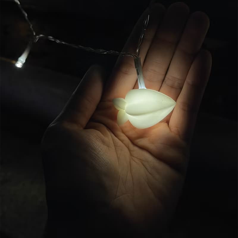 中秋 楊桃燈籠燈串