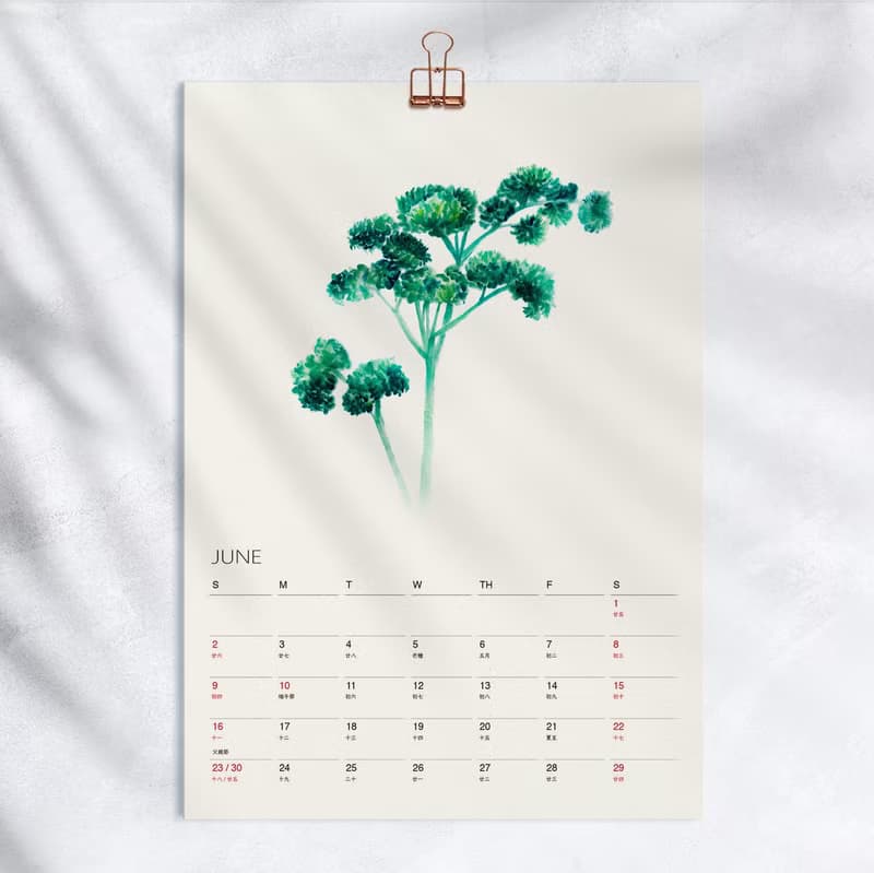 Herbal Tea 2025 2026月曆 掛曆 給植物愛好者的新年禮物 5